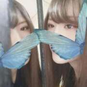 ヒメ日記 2025/12/17 14:14 投稿 えりか 沼津ハンパじゃない東京