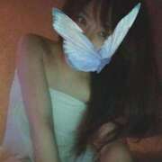 ヒメ日記 2025/12/18 01:04 投稿 えりか 沼津ハンパじゃない東京