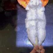 ヒメ日記 2026/02/18 08:14 投稿 えりか 沼津ハンパじゃない東京