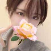 ヒメ日記 2026/03/24 15:14 投稿 えりか 沼津ハンパじゃない東京