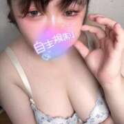 すみれ 久しぶりです 小岩ちゃんこ