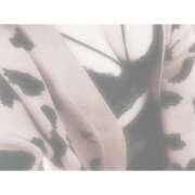 ヒメ日記 2025/05/22 08:33 投稿 まりあ 那須塩原人妻花壇