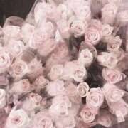 ヒメ日記 2026/01/10 23:06 投稿 まりあ 那須塩原人妻花壇