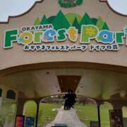 ヒメ日記 2025/10/25 14:07 投稿 いおり奥様 人妻です