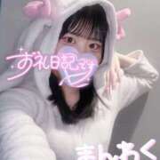 ヒメ日記 2025/08/18 16:33 投稿 やえ ラッシュアワー