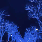 ヒメ日記 2025/10/03 02:50 投稿 やえ ラッシュアワー