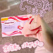 ヒメ日記 2026/01/24 16:19 投稿 やえ ラッシュアワー