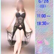 ヒメ日記 2025/06/25 21:34 投稿 サイカ 煌-kirameki-