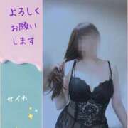 ヒメ日記 2025/06/28 08:08 投稿 サイカ 煌-kirameki-