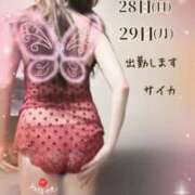 ヒメ日記 2025/12/26 22:19 投稿 サイカ 煌-kirameki-