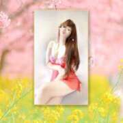 ヒメ日記 2026/03/14 10:08 投稿 サイカ 煌-kirameki-