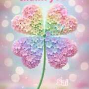 ヒメ日記 2026/03/31 07:34 投稿 サイカ 煌-kirameki-