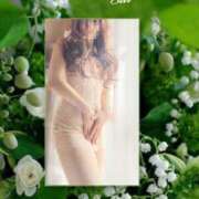 ヒメ日記 2026/04/22 19:00 投稿 サイカ 煌-kirameki-