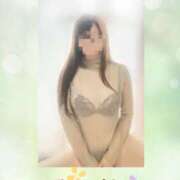 ヒメ日記 2026/07/03 07:37 投稿 サイカ 煌-kirameki-