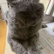 ヒメ日記 2025/07/18 00:29 投稿 じぇしか スピードエコ日本橋店