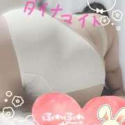 ヒメ日記 2025/06/01 12:04 投稿 ダイナマイト お願いマラどーな