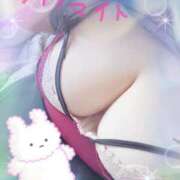 ヒメ日記 2025/06/02 14:14 投稿 ダイナマイト お願いマラどーな