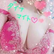 ヒメ日記 2025/08/22 00:12 投稿 ダイナマイト お願いマラどーな