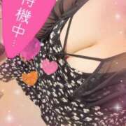 ヒメ日記 2025/08/25 17:52 投稿 ダイナマイト お願いマラどーな