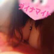 ヒメ日記 2025/09/01 00:42 投稿 ダイナマイト お願いマラどーな