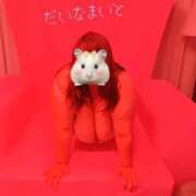 ヒメ日記 2025/10/23 22:12 投稿 ダイナマイト お願いマラどーな