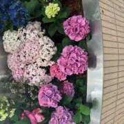 ヒメ日記 2025/06/05 20:50 投稿 篠原 りん 千葉Grand Mrs.