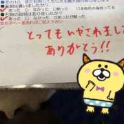 ヒメ日記 2026/02/14 09:38 投稿 【かずは】癒し＆自然な居心地 おねだり宮崎