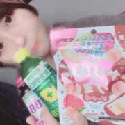 ヒメ日記 2026/02/14 14:08 投稿 【かずは】癒し＆自然な居心地 おねだり宮崎