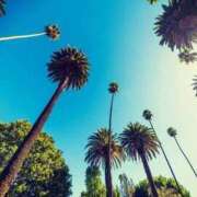 ヒメ日記 2025/06/26 13:15 投稿 ゆあ 素人妻御奉仕倶楽部Hip's取手店