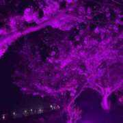 ヒメ日記 2026/04/05 19:41 投稿 ゆあ 素人妻御奉仕倶楽部Hip's取手店