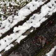 ヒメ日記 2025/12/04 09:10 投稿 川口莉子 五十路マダム富山店(カサブランカグループ)