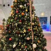 ヒメ日記 2025/12/15 07:10 投稿 川口莉子 五十路マダム富山店(カサブランカグループ)