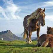 ヒメ日記 2026/01/01 09:00 投稿 川口莉子 五十路マダム富山店(カサブランカグループ)