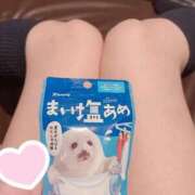 ヒメ日記 2025/06/25 10:50 投稿 くら ビデオdeはんど すすきの校