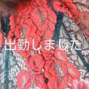 ヒメ日記 2025/07/19 11:38 投稿 なのか 人妻の楽園（博多）