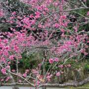 じゅり 💡お知らせ💡 熟女の風俗最終章 町田店