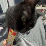 ヒメ日記 2025/06/03 18:46 投稿 はるき ジュリアングループ八王子店