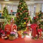 ヒメ日記 2025/12/15 05:15 投稿 堀　しずくの エテルナ京都