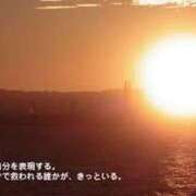 ヒメ日記 2025/05/23 07:56 投稿 みよ 愛知弥富ちゃんこ