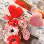 ヒメ日記 2026/02/02 06:51 投稿 みよ 愛知弥富ちゃんこ