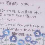 ヒメ日記 2025/05/29 14:43 投稿 希々(きき) 高崎回春性感SPA