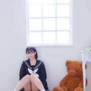 ヒメ日記 2025/05/24 18:40 投稿 ツバキ ファーストレディー