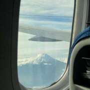 ヒメ日記 2025/05/29 22:19 投稿 ツバキ ファーストレディー