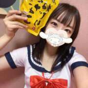 ヒメ日記 2025/06/02 15:30 投稿 ツバキ ファーストレディー