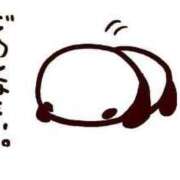 ヒメ日記 2025/06/08 16:01 投稿 ツバキ ファーストレディー