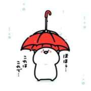 ヒメ日記 2025/06/25 11:17 投稿 ツバキ ファーストレディー