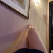 ヒメ日記 2025/06/27 09:11 投稿 ツバキ ファーストレディー