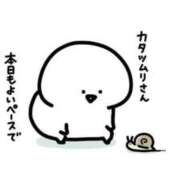 ヒメ日記 2025/06/28 09:11 投稿 ツバキ ファーストレディー