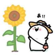 ツバキ 土日ありがとうございました♡ ファーストレディー