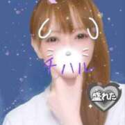 ヒメ日記 2025/07/12 10:53 投稿 チハル 煌-kirameki-